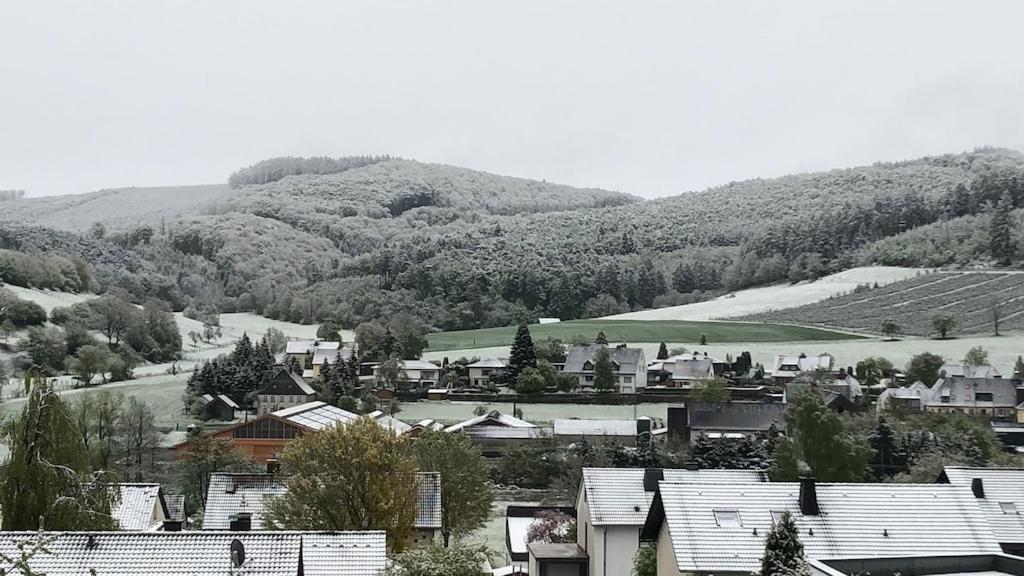 Апартаменты Natur Pur Im Schoenen Sauerland Allendorf  Экстерьер фото