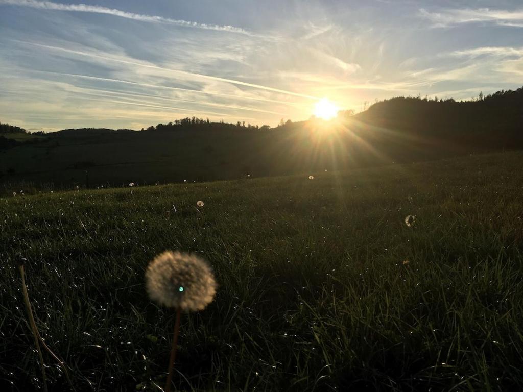 Апартаменты Natur Pur Im Schoenen Sauerland Allendorf  Экстерьер фото